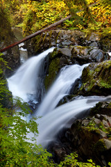 Wall Mural - Sol Duc