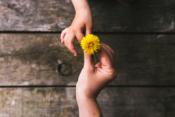 Parent and child hands handing flowers