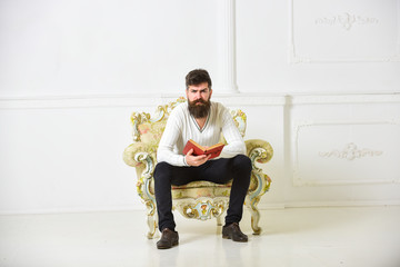 Leinwandbilder - Man with beard and mustache sits on armchair and reading book, white wall background. Macho smart spends leisure with book. Knowledge concept. Scientist, professor on serious face explores literature.
