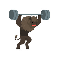 Wall Mural - Bull exercising with barbell, sportive wild animal character doing sports vector Illustration on a white background