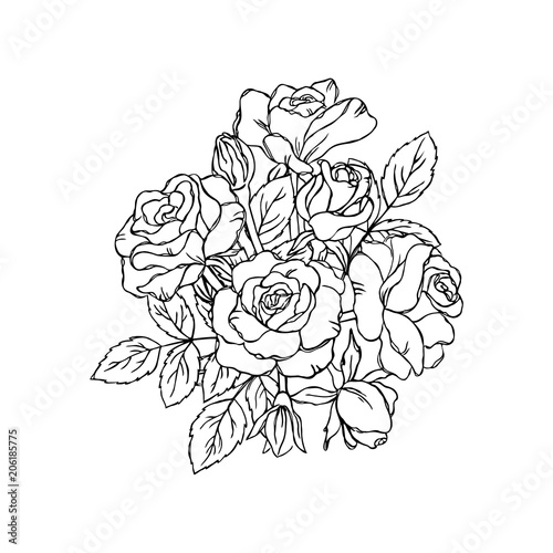 Download Vector Contour Rose Flowers Bud Leaf Branch Coloring Book Bouquet Pattern Elements Stock Vector Adobe Stock