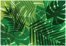 Color Abstract Vector Background Of Tropical Palm Leaves. Bright Green Palms Leaves Background.