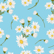 Seamless  pattern with white chamomiles  on light blue background. Vector floral illustration for textile, print, wallpapers, wrapping.