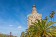 Torre del Oro à Séville