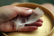 © Анастасія Стягайло - Feather in hand on a wooden background,  duck feathers, chicken feathers