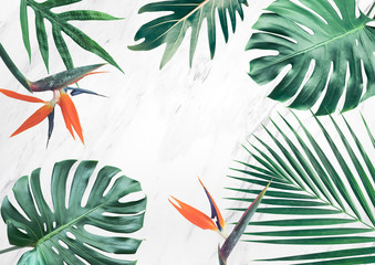 Wall Mural -  Group of tropical leaves on marble background.Copy space.Nature concept