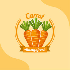 Wall Mural - vegetable carrot always fresh emblem vector illustration