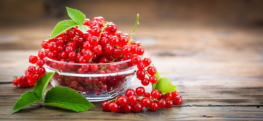 Canvas Print - Fresh red currant in the bowl