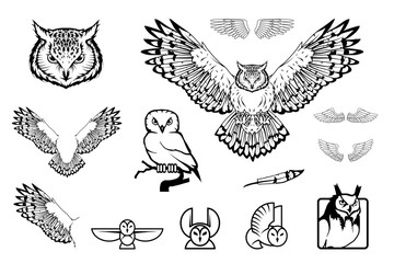 Wall Mural - Set of owl logo. Wild birds drawing. Head of an owl. Vector graphics to design.