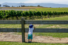 Young Boy Looking At Vineyards In A Yarra Valley Winery Australia
