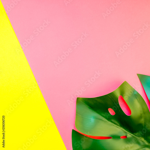 Tropical jungle monstera leaf on bright background Poster
