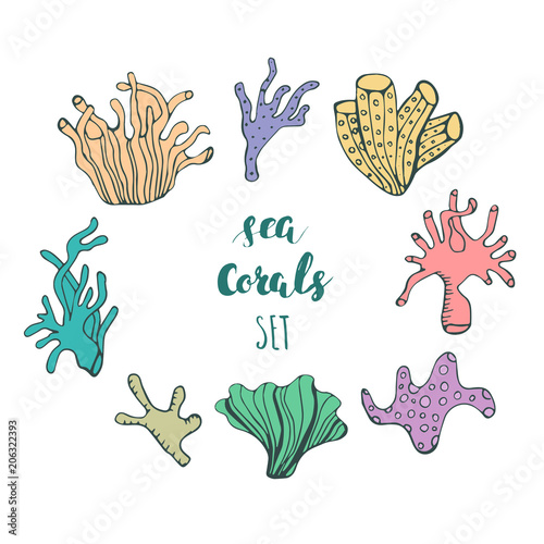 Set Of Hand Drawn Underwater Coral Reef Elements Vector Design