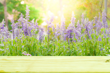 Wall Mural - Empty top wooden on beautiful flower in colorful color soft focus for background.