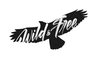 Wall Mural - vector illustration: handwritten brush lettering of wild and free on silhouette of flying hawk backg