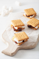 Wall Mural - homemade marshmallow s'mores with chocolate on crackers