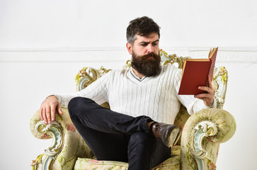 Leinwandbilder - Intelligent concept. Scientist, professor on pensive face enjoys literature. Man with beard and mustache spends leisure with book. Lecturer smart sit on armchair and reads book, white wall background.