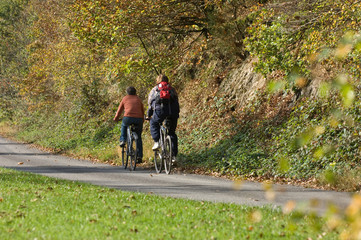 Poster - velo bois nature vtt