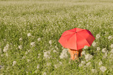 Fototapeta Tęcza - Naked young female with red umbrella in the field with yellow flowers on a sunny summer day