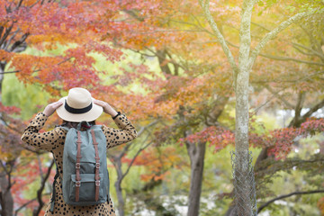 Wall Mural - Woman tourist is sightseeing around atmosphere of Autumn scene in Japan.