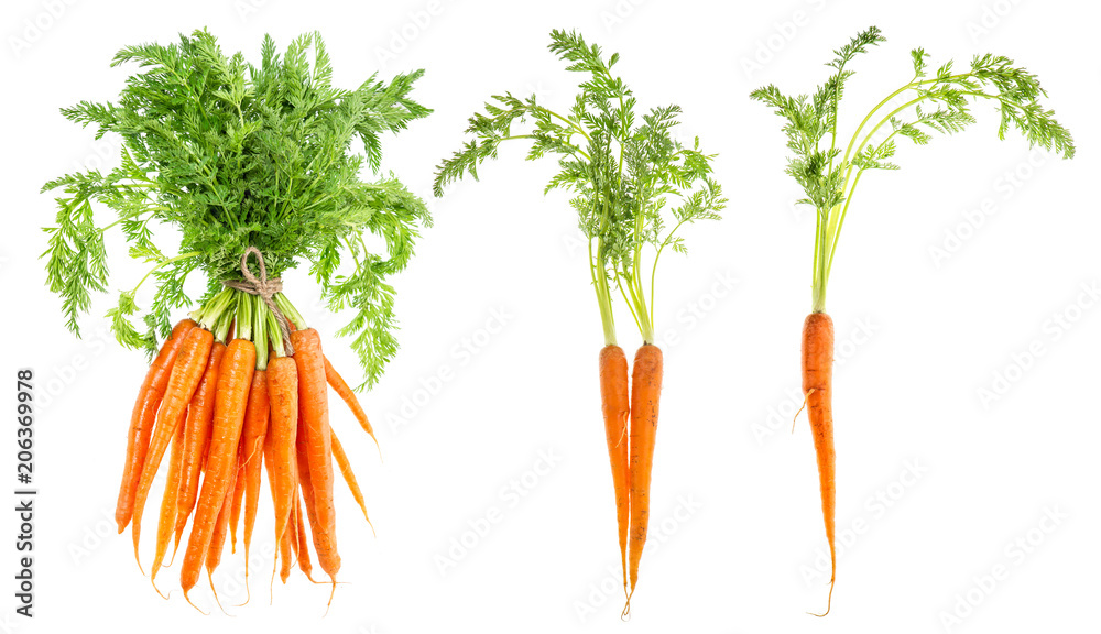Carrot vegetable green leaves Food objects - obrazy, fototapety, plakaty 