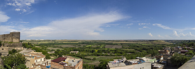 Wall Mural - scenery of Diyarbakır-Turkey historical walls and Hevsel gardens