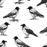 Fototapeta  - Seamless pattern of the crows sketches