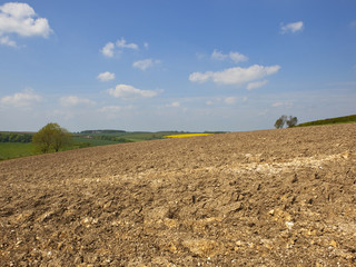 Sticker - plowed upland field