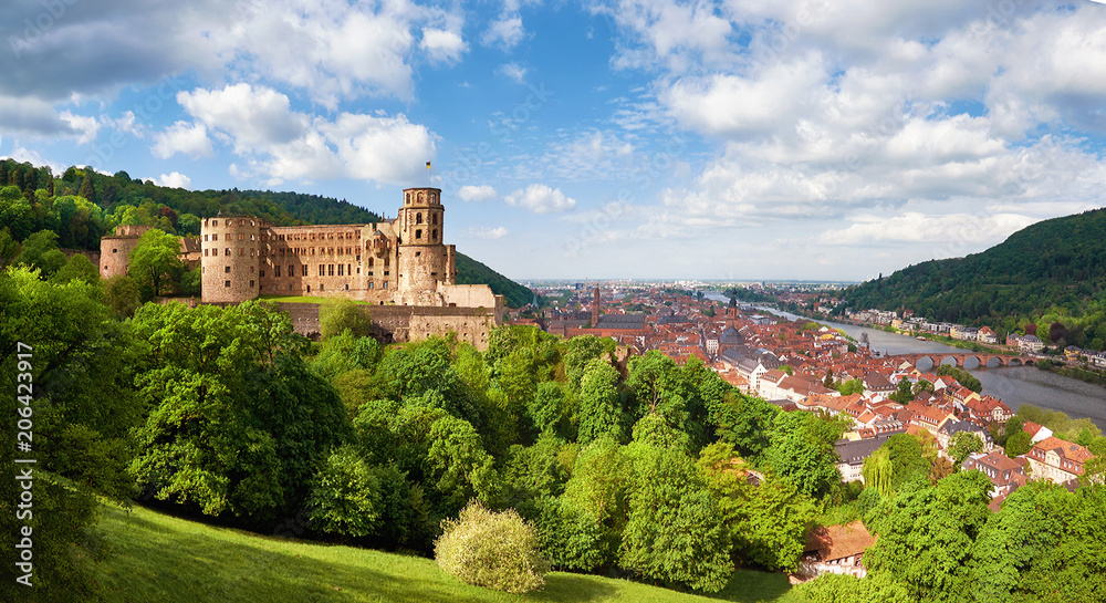 Heidelberg town in Germany and ruins of Heidelberg Castle in Spring - obrazy, fototapety, plakaty 
