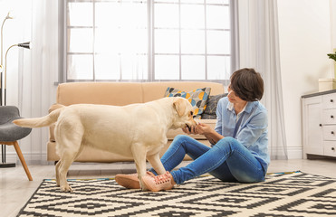 Wall Mural - Adorable yellow labrador retriever with owner at home