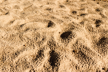 background with texture of sand and dune in the summer