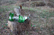 Broken beer bottle on the tree stump in the pine forest
