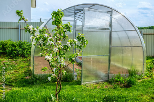 Greenhouse Made Of Plastic For Growing Green Vegetables City Garden Greenhouse Made Of Plastic For Growing Green Vegetables City Garden