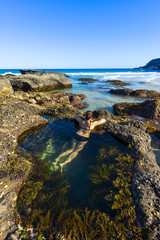 Wall Mural - Woman swin in nature pool Sydney sea.