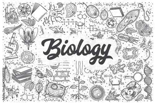 Fotografía Hand drawn biology vector doodle set.