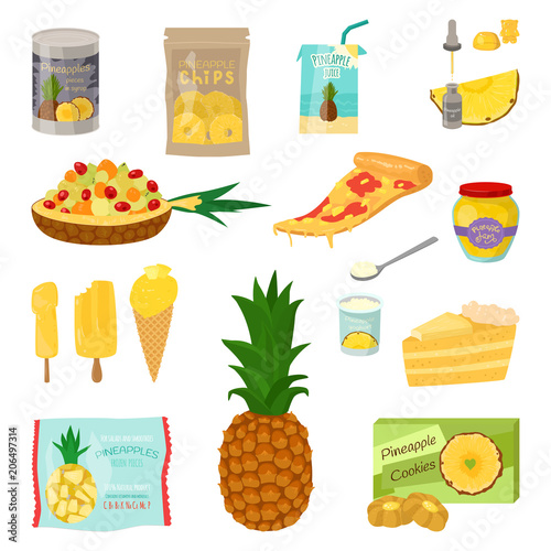 Set of pineapple slices isolated on white background. Vector illustration for...