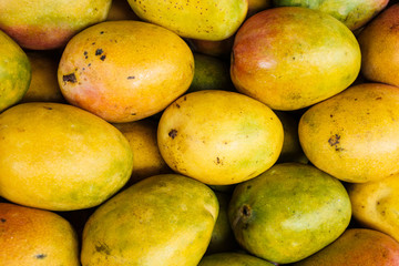 Sticker - Fresh ripe mangos