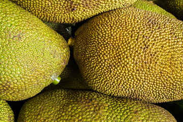 Sticker - Fresh ripe jackfruit