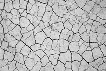 Dry Earth Background