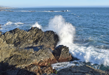 High surf on the N. California coast