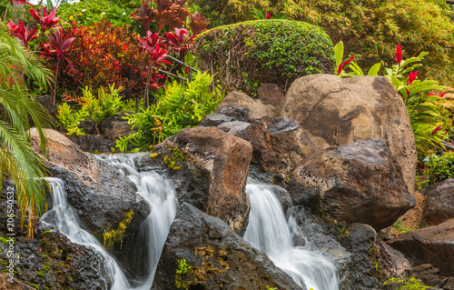 Plakat Piękny kurort Waterfall na Maui