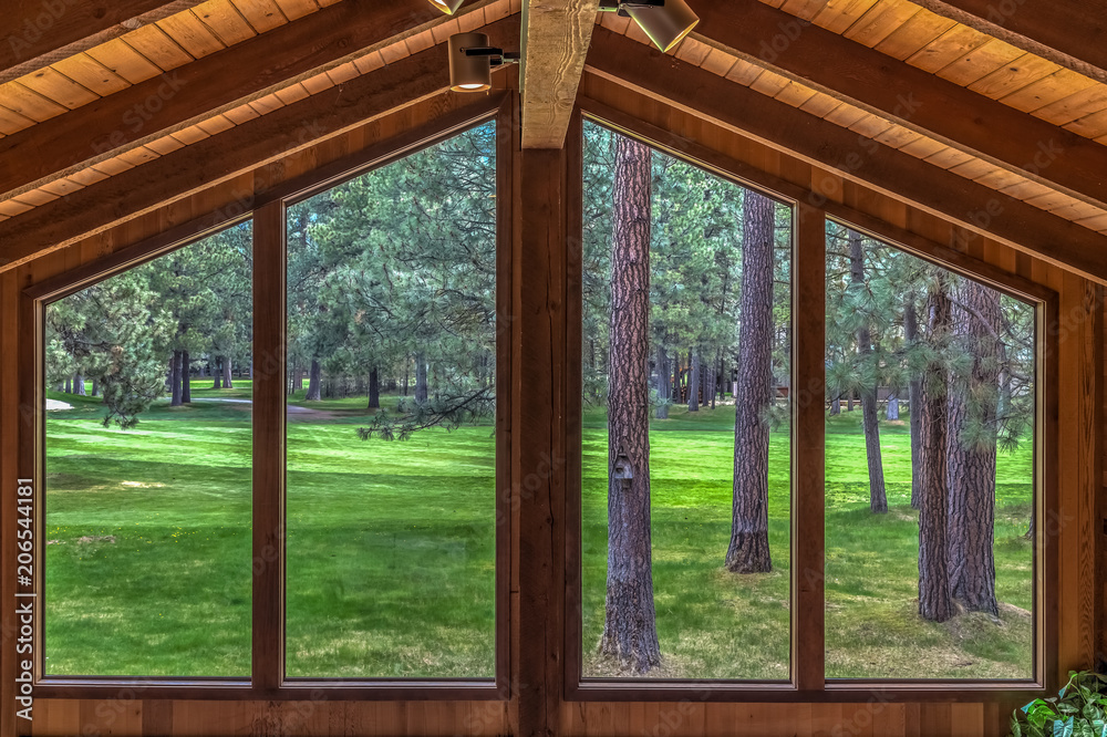 Trees out of second story window in a cabin Stock Photo | Adobe Stock