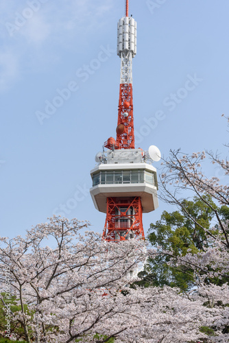 宇都宮タワーと八幡山公園の桜 Adobe Stock でこのストック画像を購入して 類似の画像をさらに検索 Adobe Stock