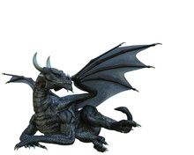 Black Dragon In A White Background