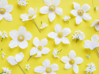 Wall Mural - flower pattern background of wildflowers top view, flat lay.
