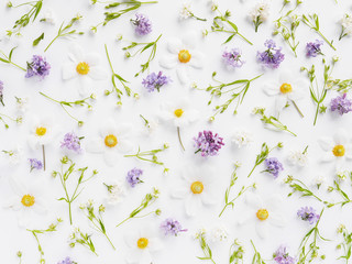 Wall Mural - flower pattern background of wildflowers top view, flat lay.