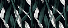 Tropical Plant Seamless Pattern, White And Green Bird Of Paradise Leaves On Black Background