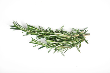 Fresh green sprigs of rosemary isolated on a white background