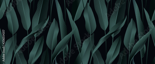 Tropical plant seamless pattern, Bird of paradise leaves on black background