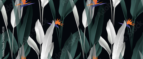 Tropical plant seamless pattern, palm leaves and Bird of paradise flowers on ...