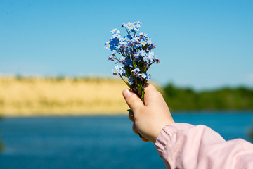 a bouquet of blue wild flowers in women's hands